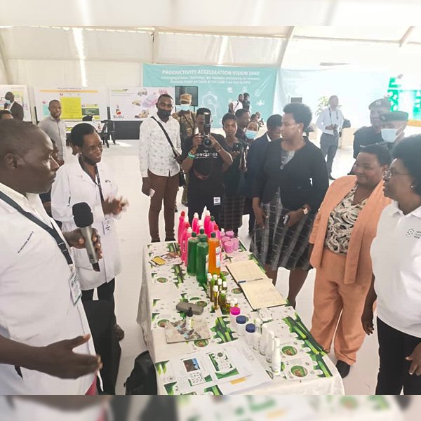 ccepo expertise - impact evaluations