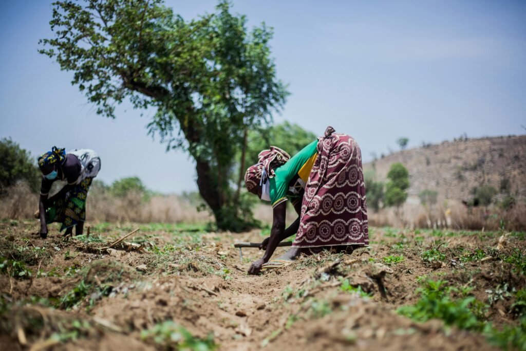 African farmers cultivating land under a blue sky, showcasing rural agricultural life.